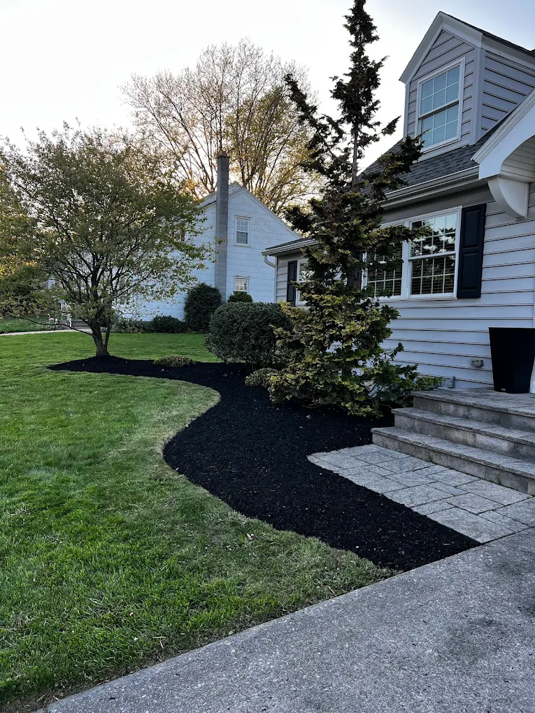 Property Maintenance