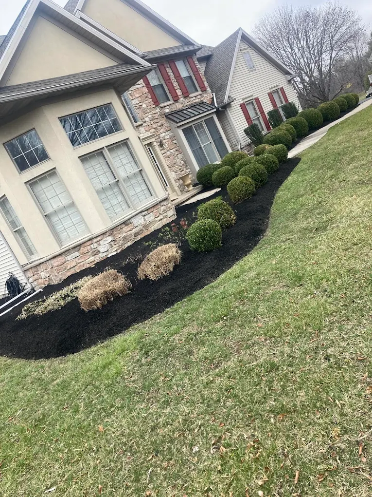 Foundation Planting Refresh